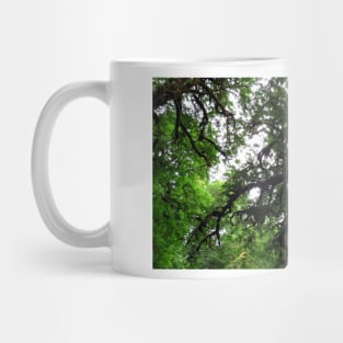 Silver Falls State Park Oregon Mug